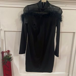 Black Sheer/Faux Fur Upper Black Dress. Make me an offer.